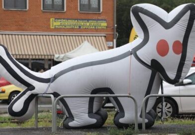 Nagy bajban a Kutyapárt, 9 napjuk maradt összeszedni félmilliárd forintot