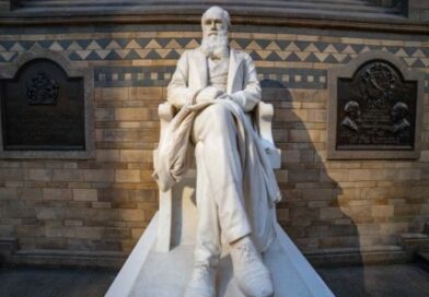 Beteg világ: Charles Darwin sírját rongálták meg Londonban környezetvédelmi aktivisták