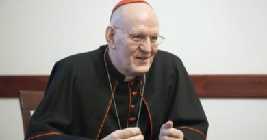 A Vatikánban biztosak benne: Erdő Péter egyetlen mondata döntötte el a pápaválasztást