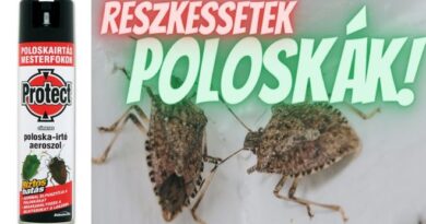 Ezzel az illattal örökre elűzheted a poloskát