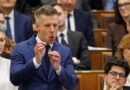 Fotó: Hatlaczki Balazs